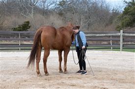 LR-WRF 0402026 Retreat-3222